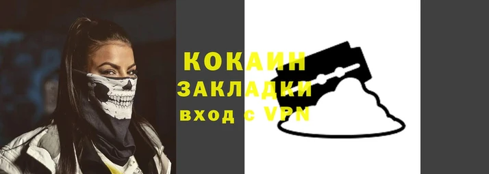прущие грибы Михайловск