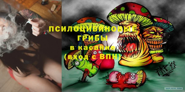 прущие грибы Михайловск