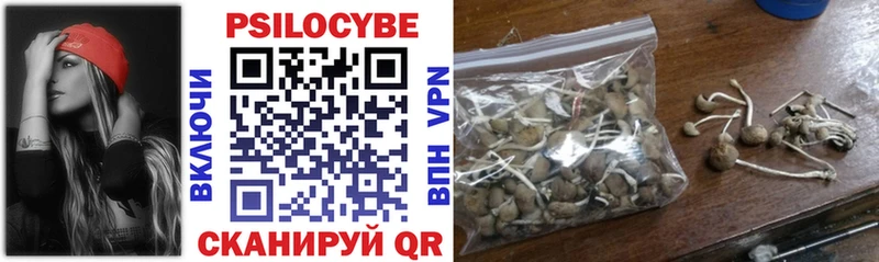 где продают наркотики  Богданович  Псилоцибиновые грибы Psilocybe 