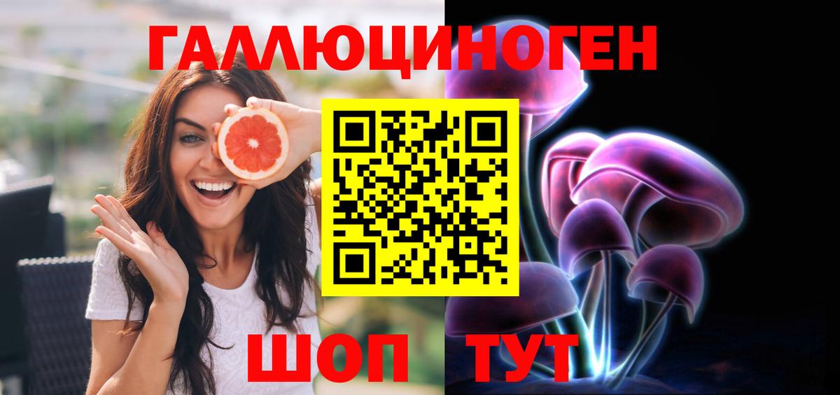 Богданович  Галлюциногенные грибы мухоморы  Вход с VPN 