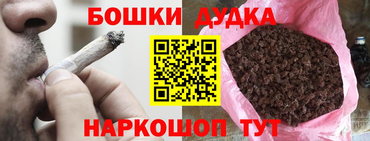 Канабис сатива Богданович